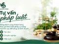 Dịch vụ tư vấn pháp luật 